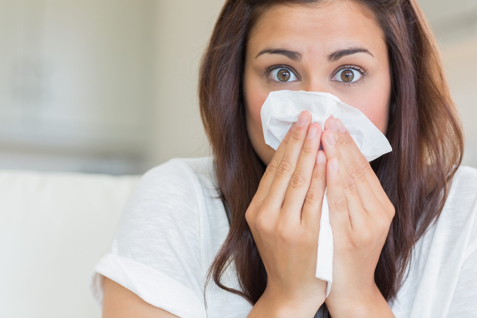 Insulation’s Impact on Allergies