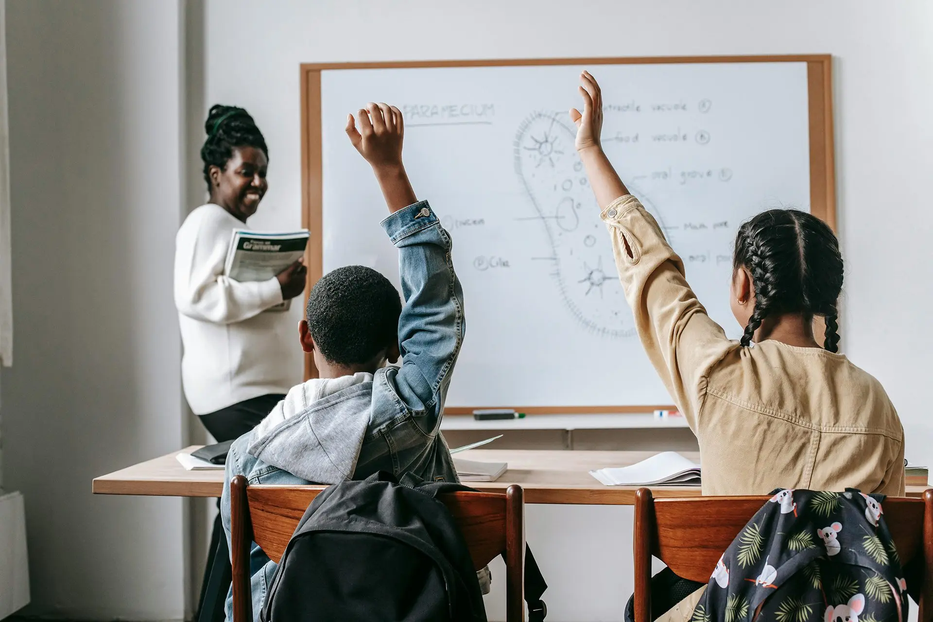 Students raising hands in classroom