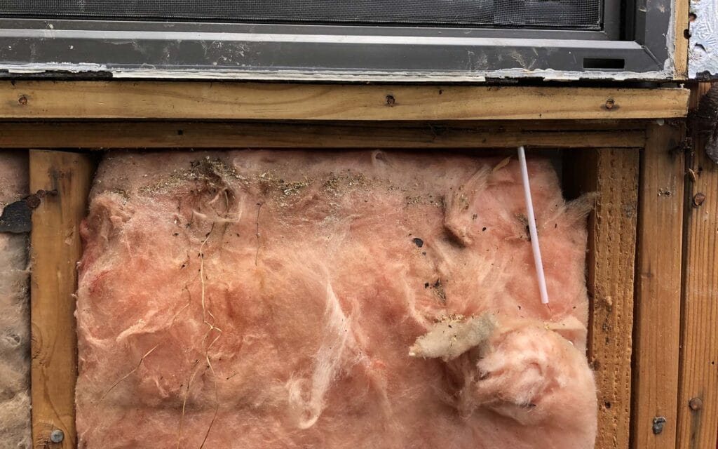 Exposed pink insulation under window frame