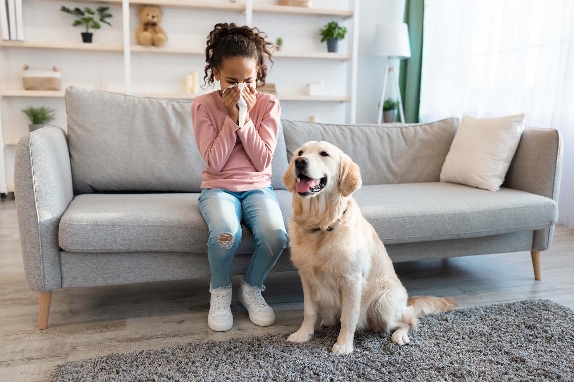 Women sneezing in her home contemplates that Insulation Reduces Allergies .